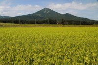 磐梯山の写真