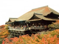 Chùa Kiyomizu-dera