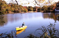 松原湖の写真