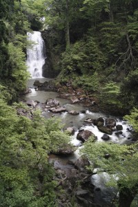 奈曽の白滝の写真