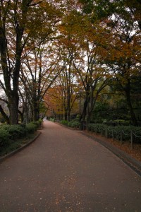 岐阜公园