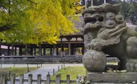 新宮熊野神社の写真