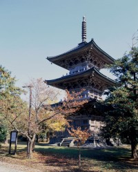 Gochi Kokubunji Temple