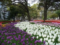 横浜公園の写真