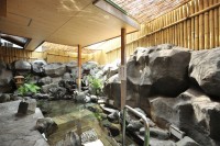 東京健康ランド まねきの湯の写真