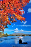 大沼国定公園の写真