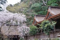 Yoshino Mikumari Shrine