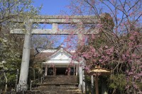 Toba Branch, Sanuki Kotohiragu Shrine