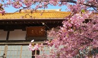 大慈寺の写真