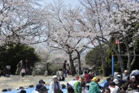 江波山公園の写真