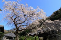 等覚寺（神奈川）の写真