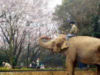 横浜市立金沢動物園の写真
