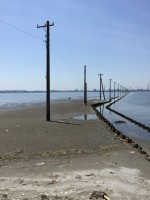 江川海岸の写真