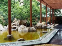 豊島園 庭の湯の写真