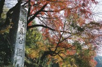 시시가하나 공원