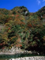 香落渓の写真