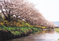切戸川の写真