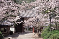 Tokoji Temple (Yamaguchi)