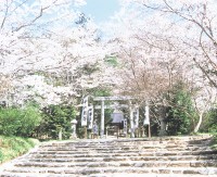 木戸神社の写真