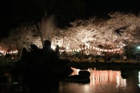 高崎公園の写真