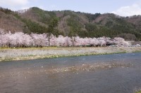 桜野公園の写真