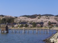 東郷湖の写真