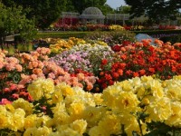 Odawara Flower Garden
