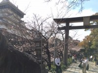小倉祇園 八坂神社の写真