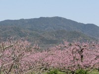 사나게야마 산