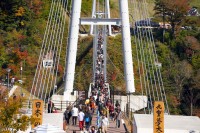九重夢の大吊橋の写真