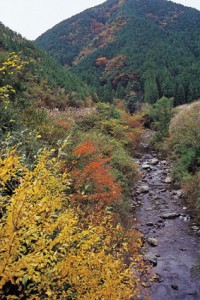 시마노카와 계곡