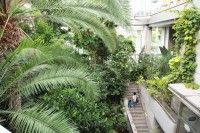 板橋区立熱帯環境植物館の写真