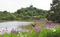 산케이엔 정원