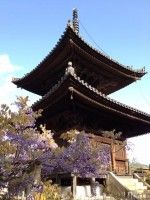 叡福寺の写真