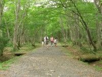 冈山县立森林公园