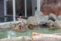 王国温泉 カピパラの湯の写真
