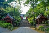大本山 護国寺の写真