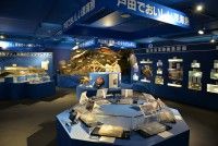 駿河湾深海生物館（ミュゼ ヘダビス）の写真