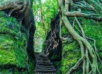 泉津の切り通しの写真