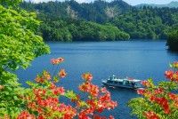 太平湖遊覧船の写真