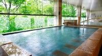 大江戸温泉物語鬼怒川観光ホテルの写真