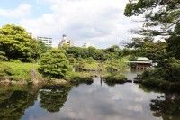 Kebun Kiyosumi