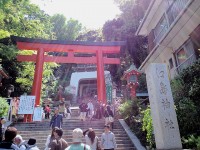 江島神社の写真