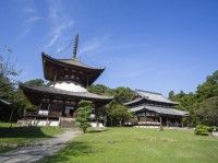 根来寺の写真