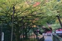 Kuil Kitaguchi Hongu Fuji Sengen-jinja