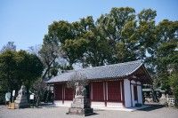 櫻井神社（大阪）の写真