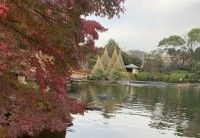 行船公園（平成庭園・源心庵）の写真
