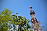 札幌大通公園（さっぽろテレビ塔）の写真
