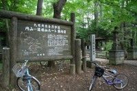 円山原始林の写真