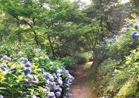 Shiranoe Botanical Garden